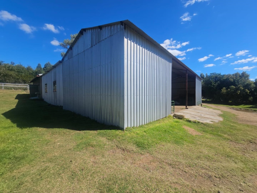 4 Bedroom Property for Sale in Dewetsdorp Free State
